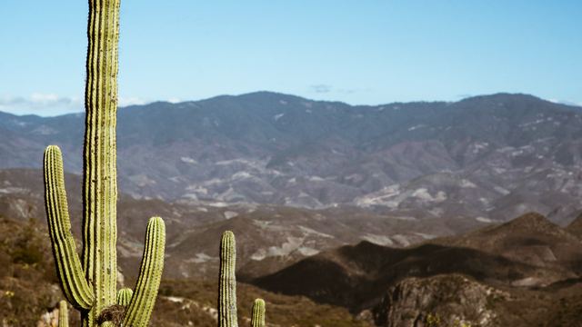Oaxaca, Corazón, frame 3