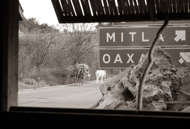 Oaxaca, Corazón, frame 4
