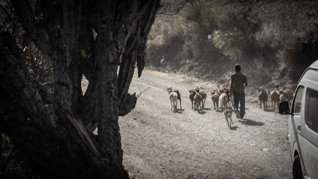 Oaxaca, Corazón, frame 15