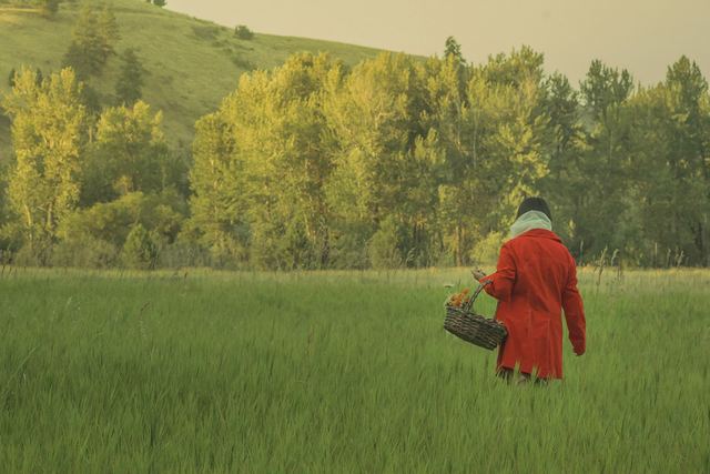 “Once upon a time...”, frame 1