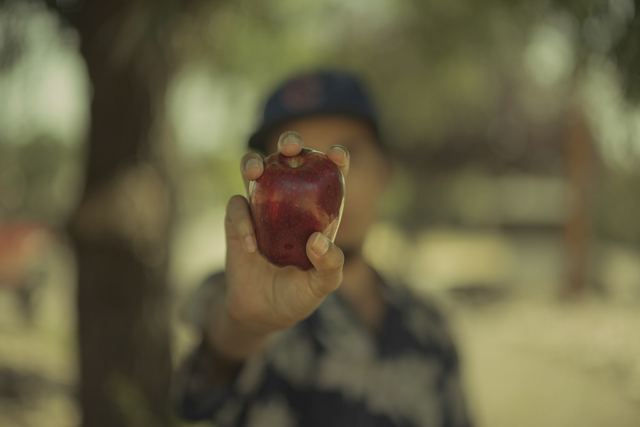 “Once upon a time...”, frame 10